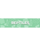 Reptil